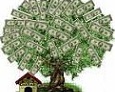 Free Cash From The Money Tree